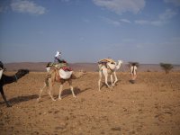 Trek Maroc